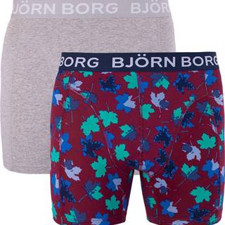 2PACK pánské boxerky Bjorn Borg vícebarevné